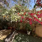 Heliopolis Gardens