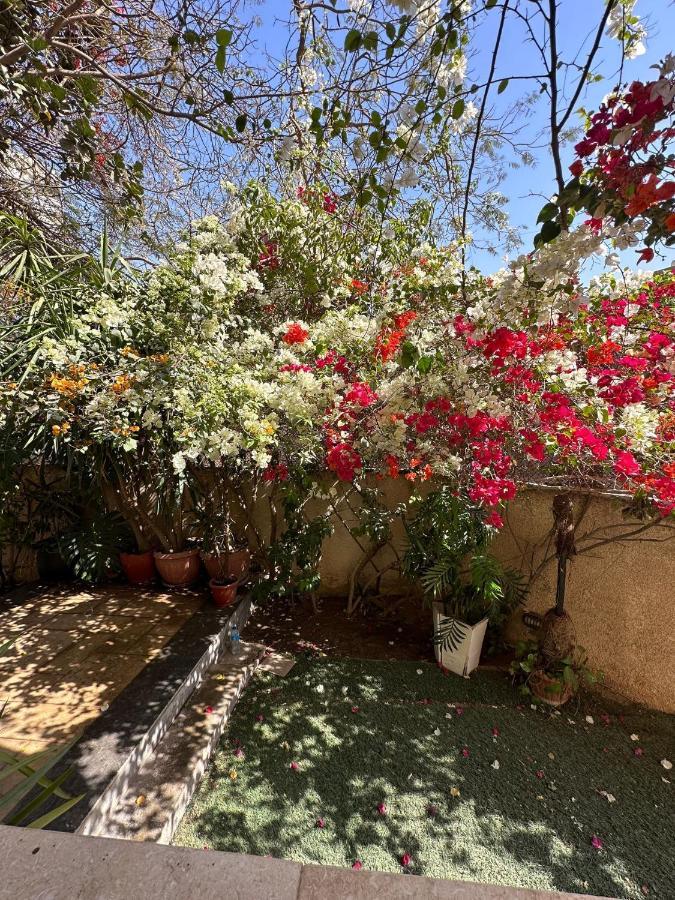 Heliopolis Gardens Apartment Cairo